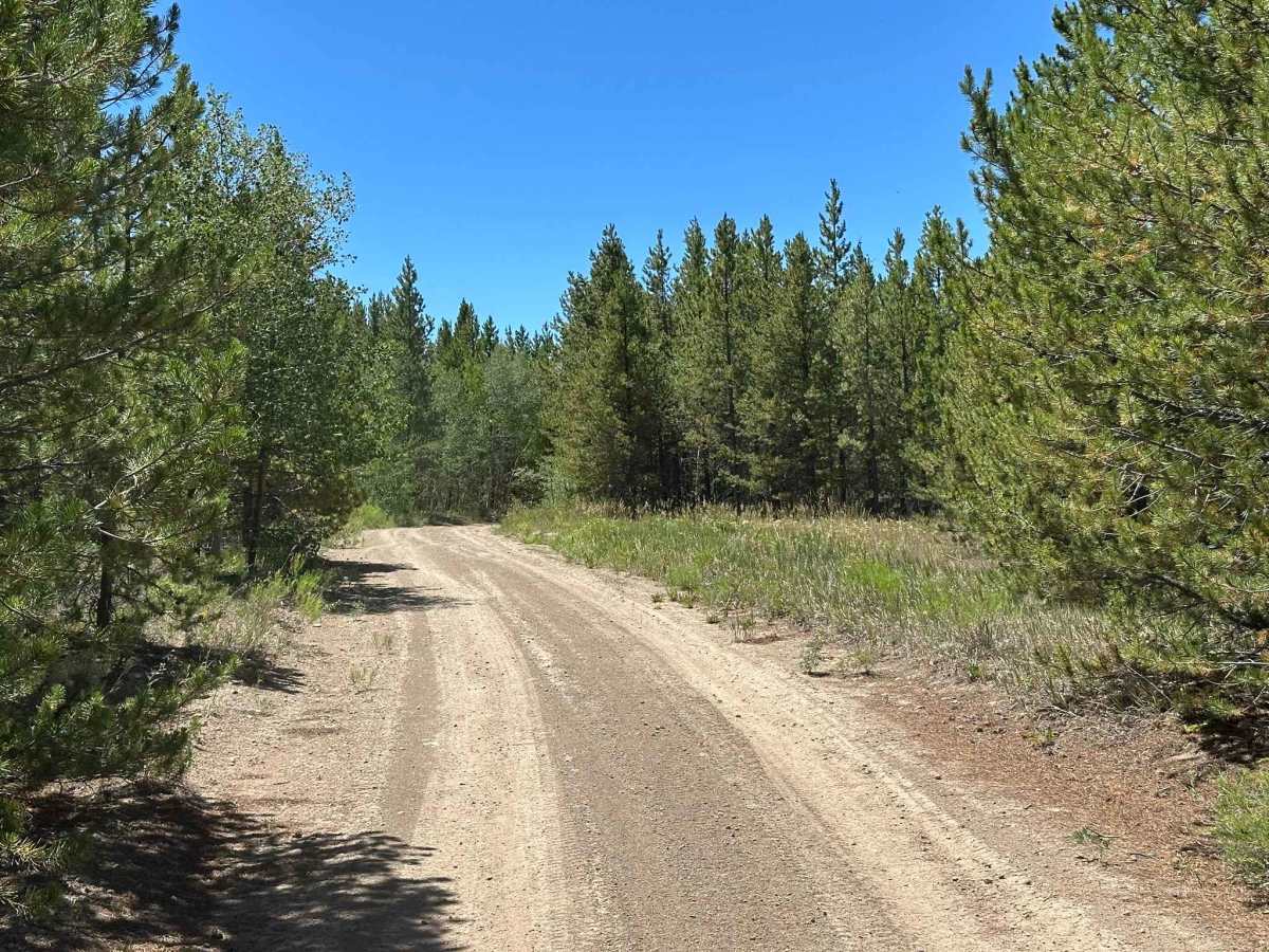 BLM 2762 trail photo