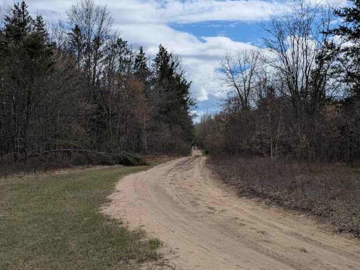 Markey trail photo