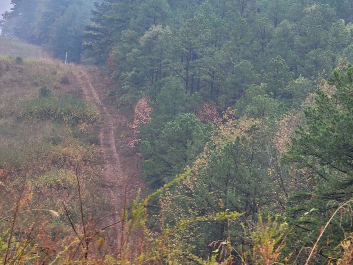 Talley Mountain photo 3