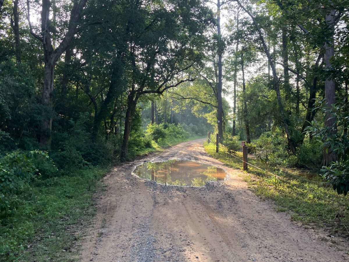 Fisher Old Miller Road trail photo