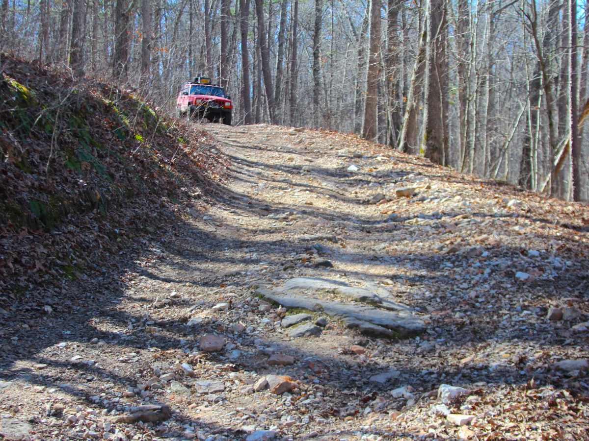 Coffman Hollow - FS 2907 trail photo
