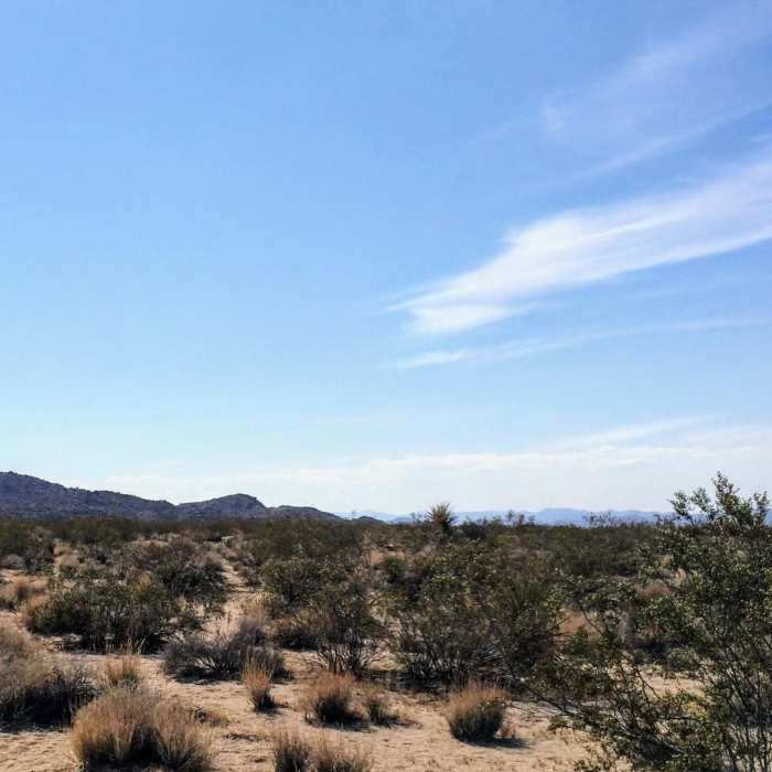 Near Boy Scout Trail