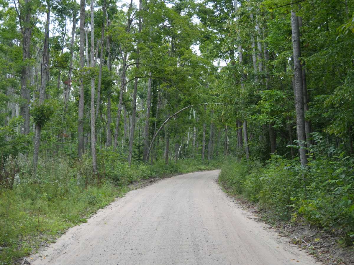 Tin Shanty Road photo 3