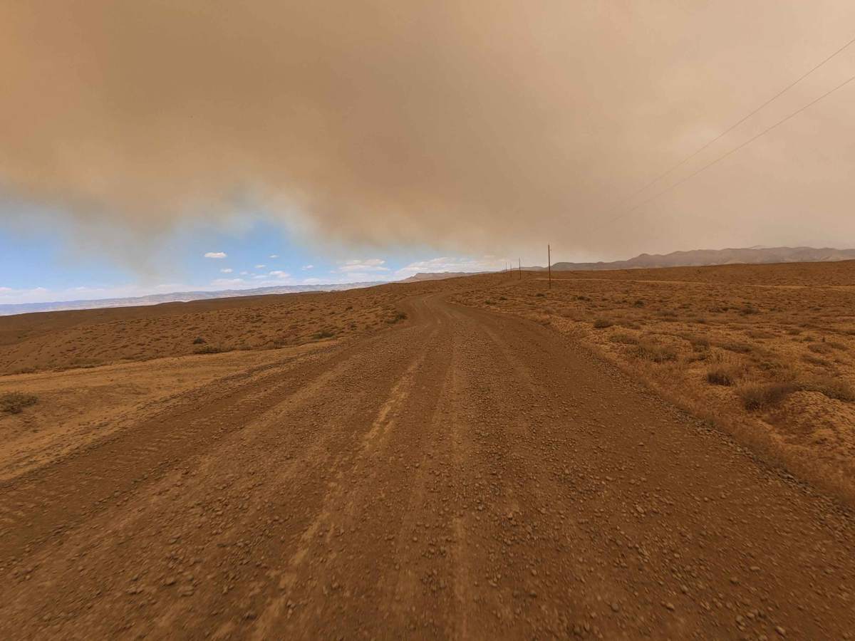 BLM 166 photo 6
