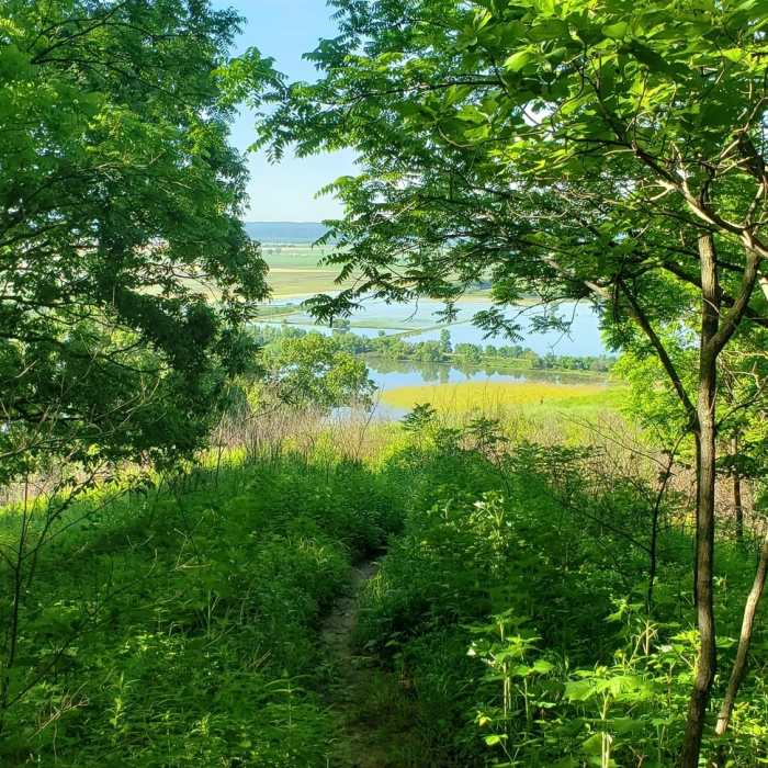 Near Fults Hill Prairie Nature Preserve Trail