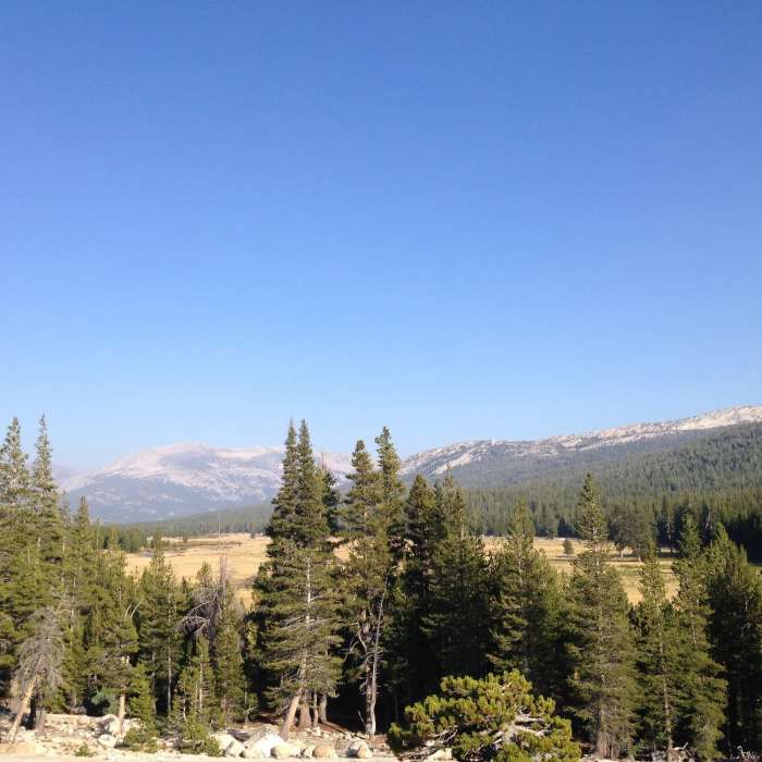 Near Tenaya Lake Trail