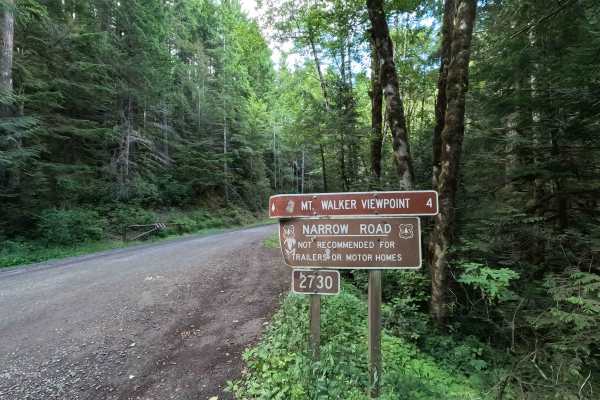 Mount Walker Trail - FS 2730