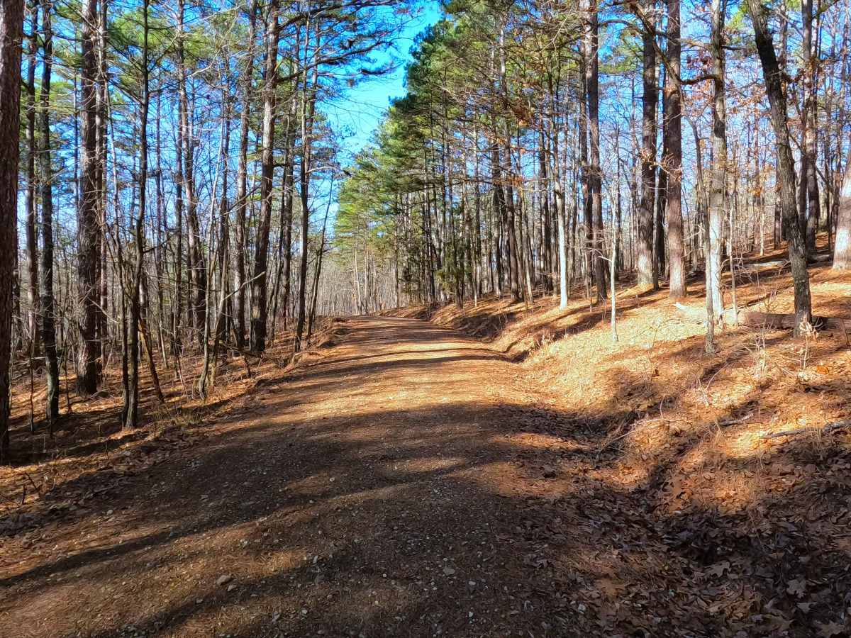 Peas Hollow - FS 421 photo 5