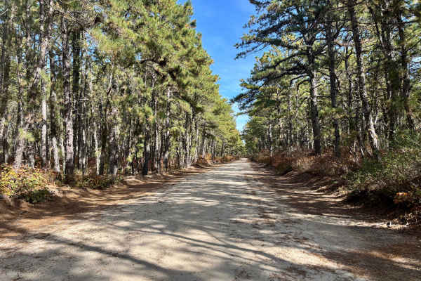 Dan's Bridge Road