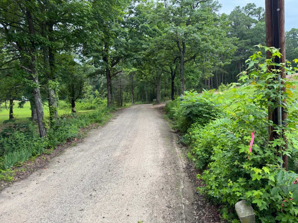 Wiemer Road trail photo