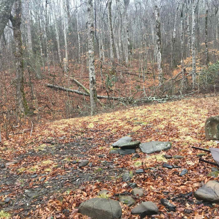 Near Snowbird Creek Trail #64 - Upper Section