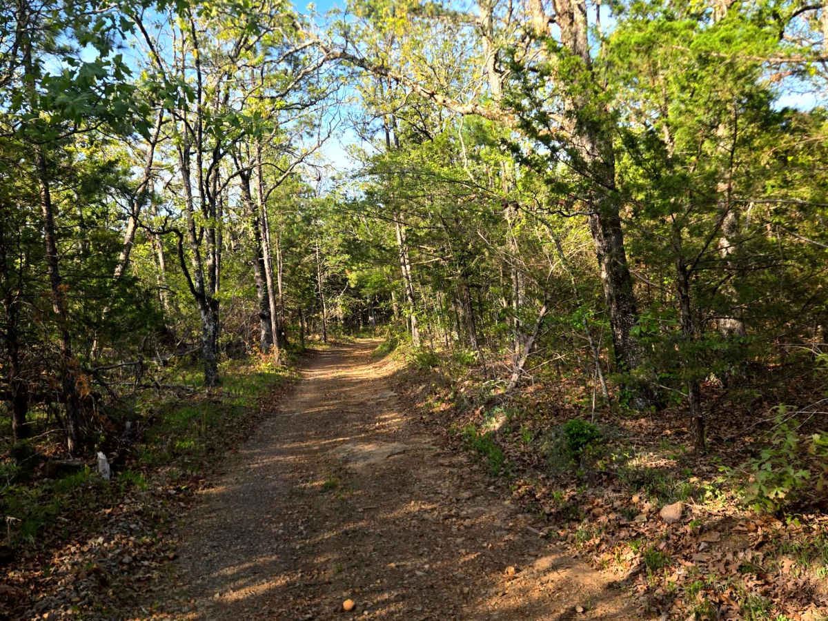 Ford Ridge photo 3