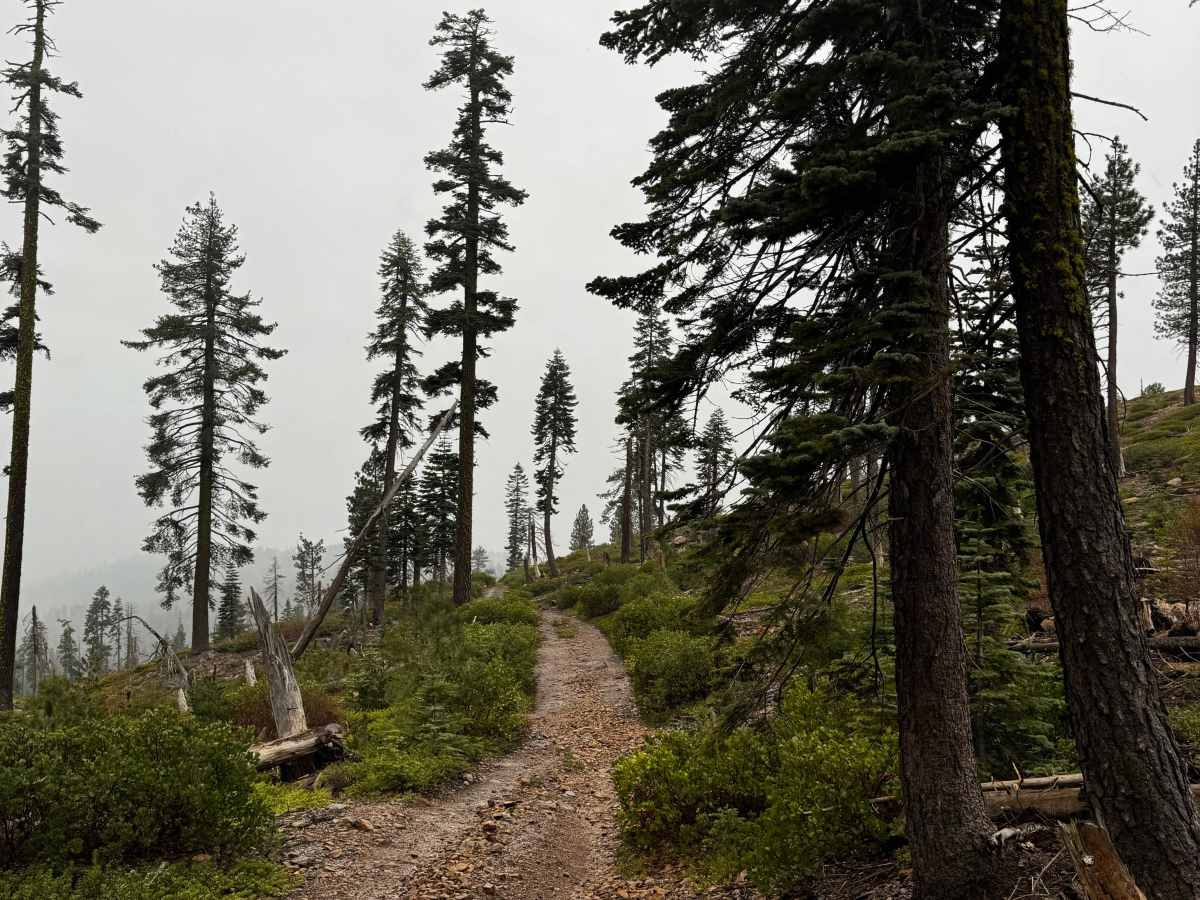 Cavanah Deep trail photo