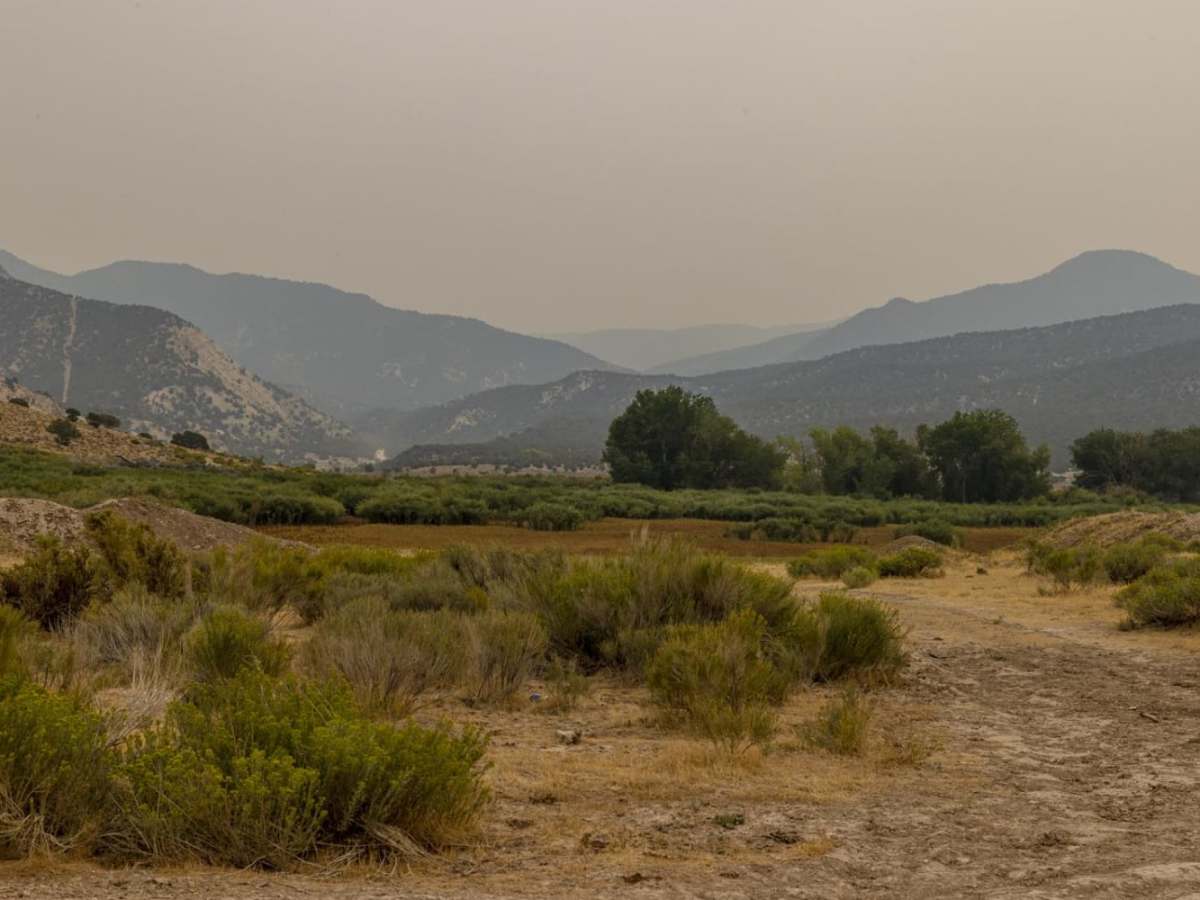 Willow Creek Road photo 4