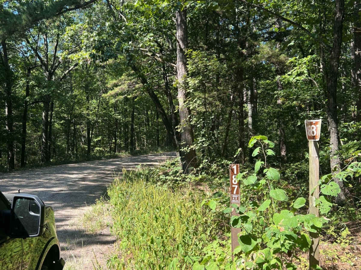 Piney Ridge photo 2