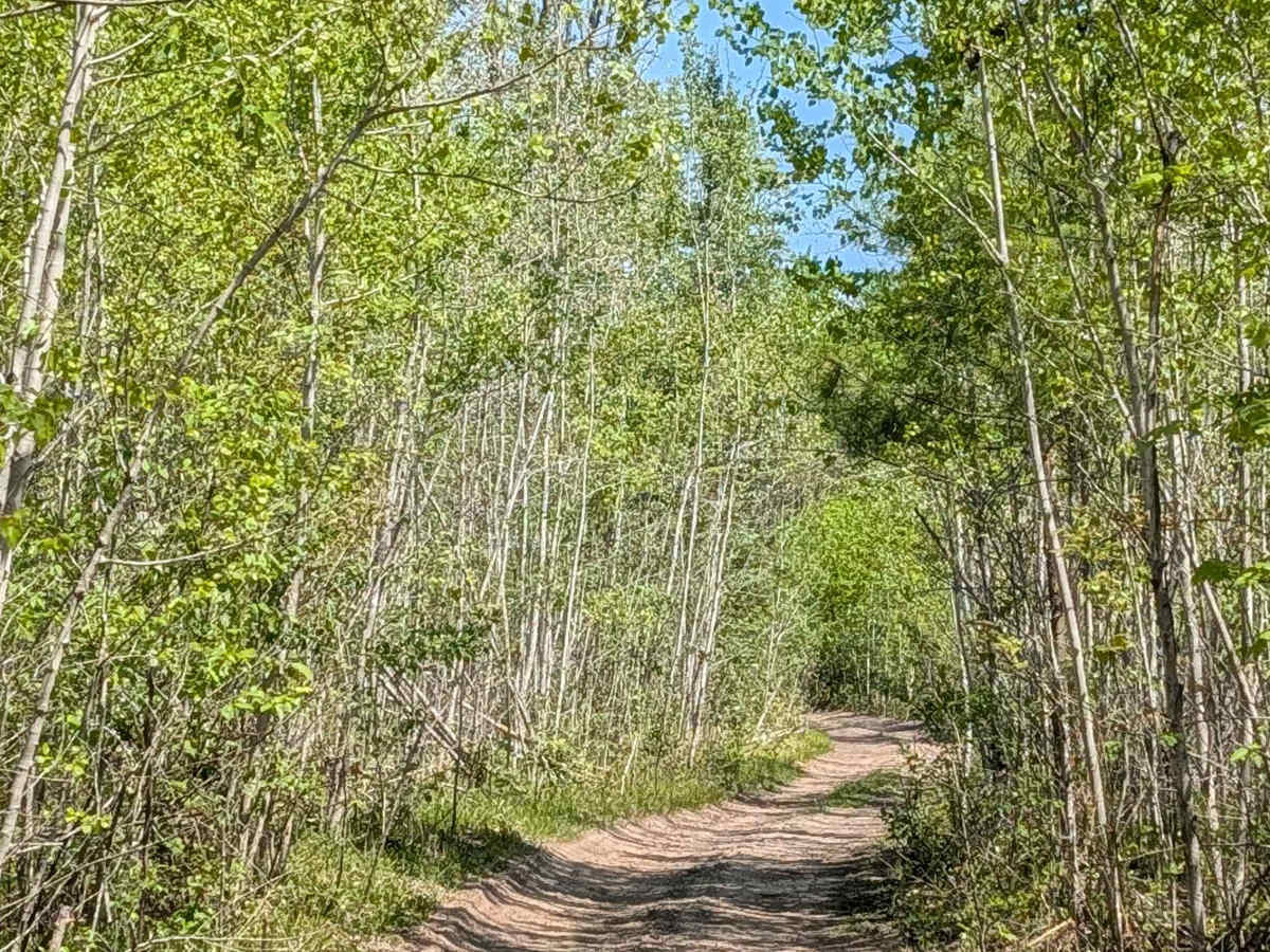 Emerson Trail photo 6