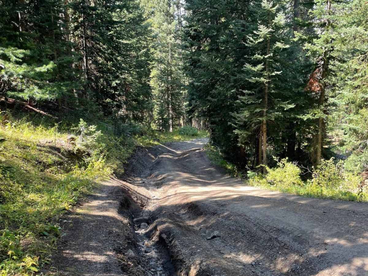 Sheep Mountain trail photo