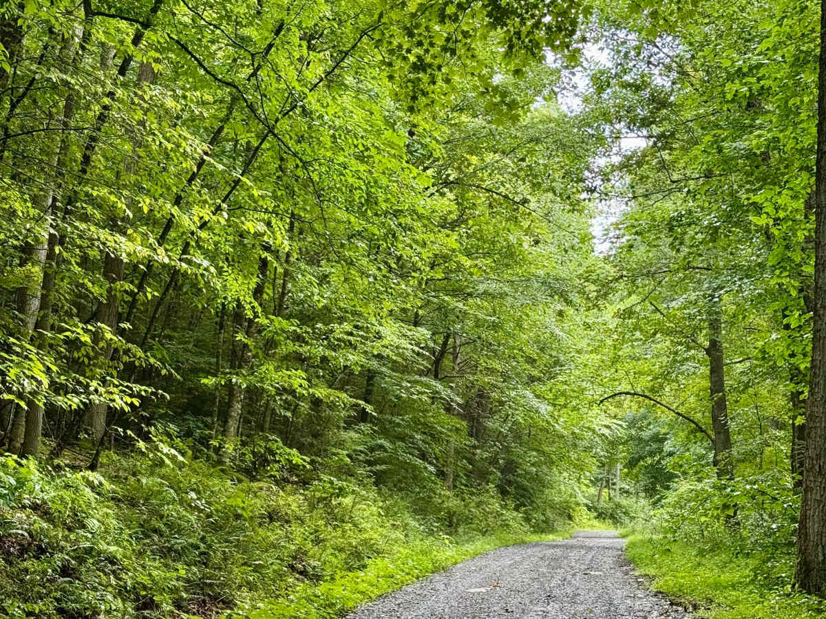 Sawyer Run - FS 735 photo 3