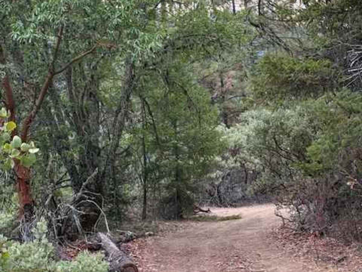 Payette Trail - FS 970 photo 5