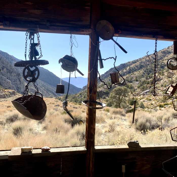 Near Surprise Canyon Trail