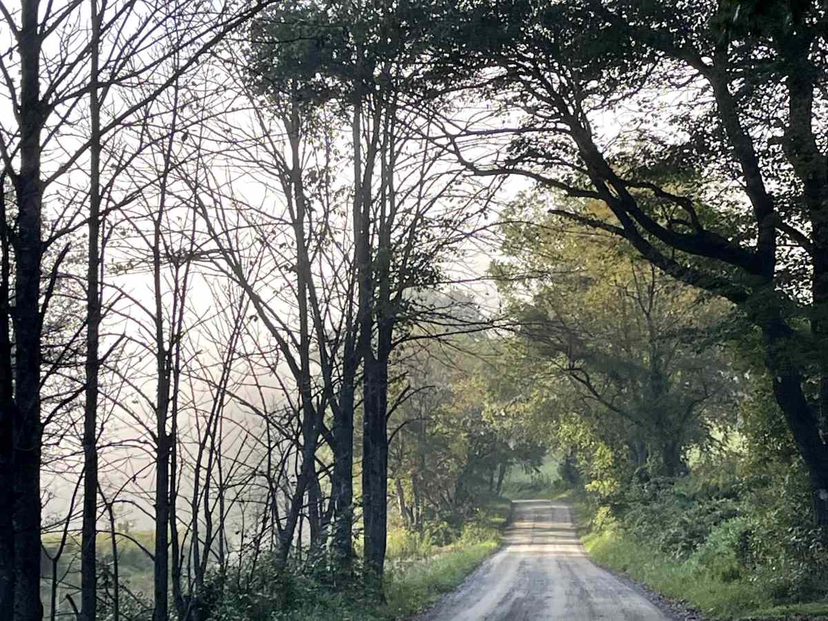 Raven Rock Road photo 4