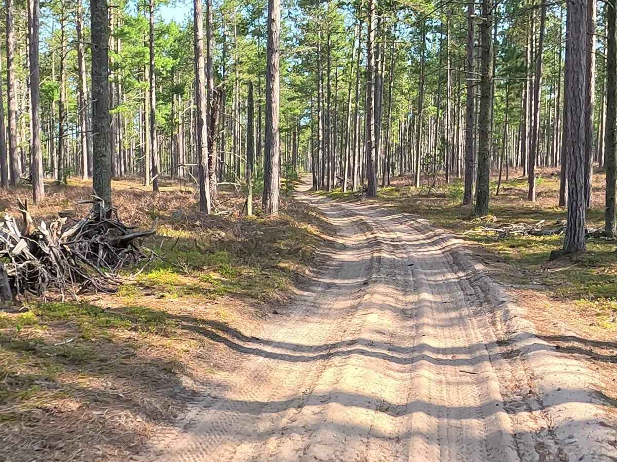 West Brenaman Road trail photo