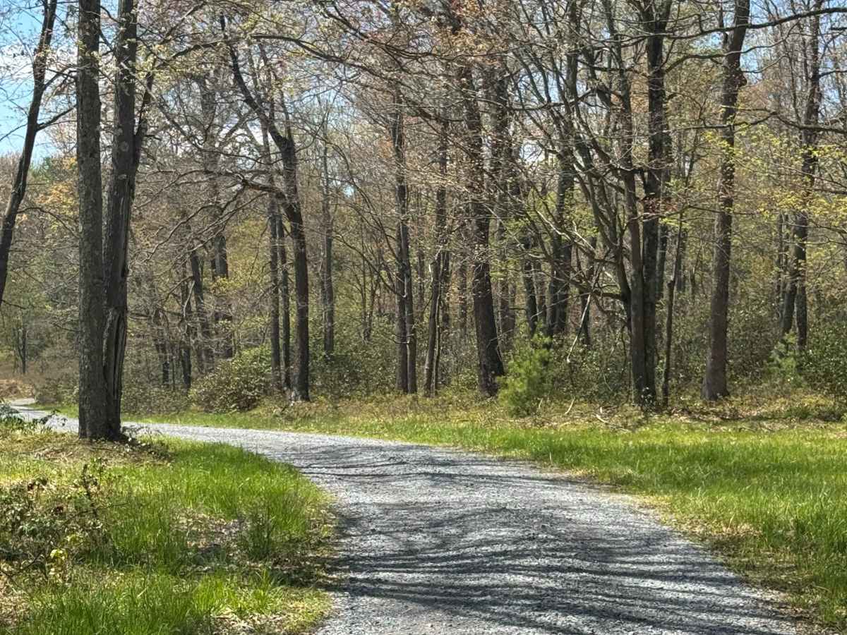 Fisher Road photo 2