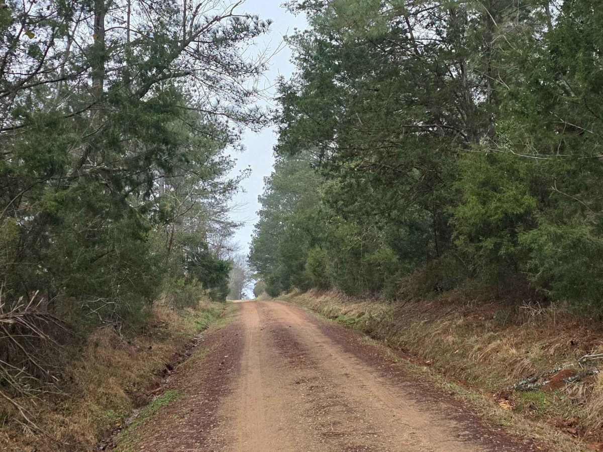 Pond Dam Road photo 4