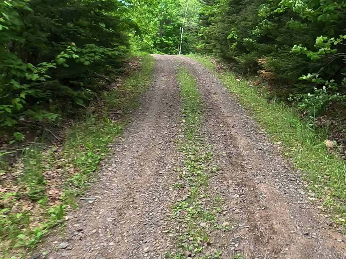 Red Road trail photo