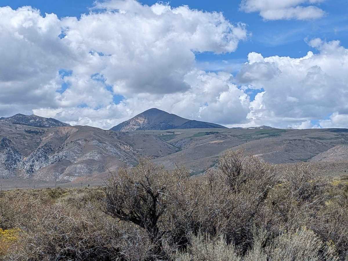 Conway Ranch Road photo 6