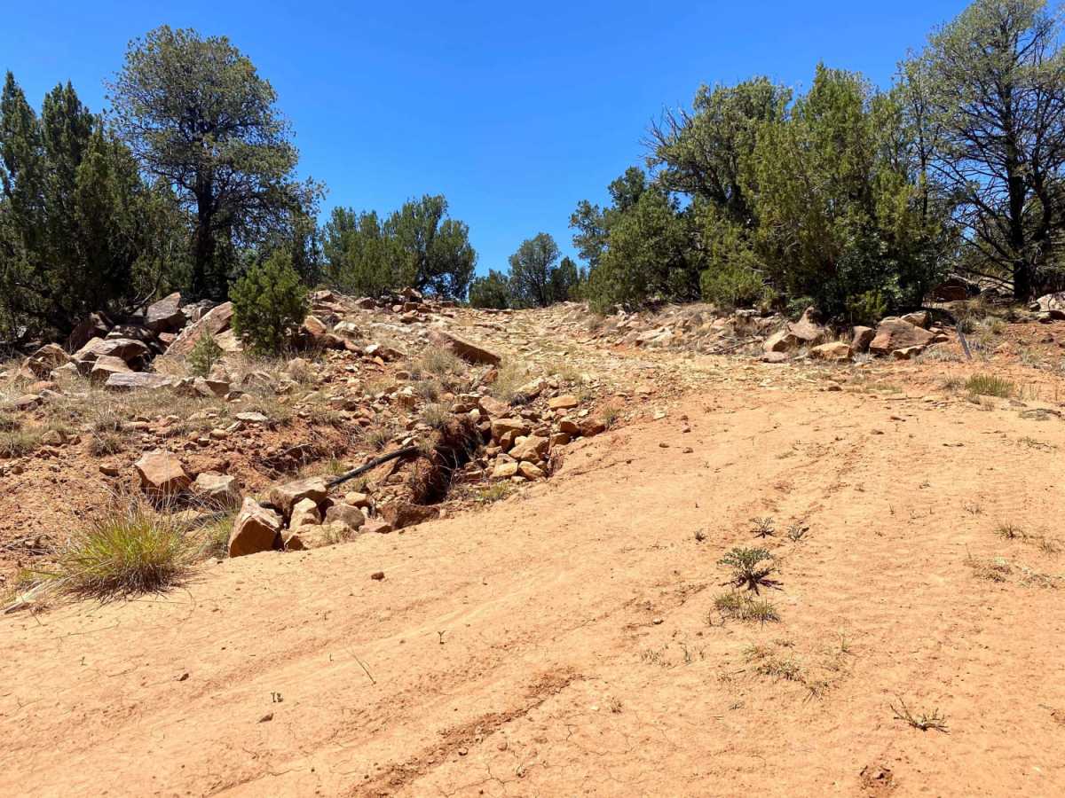 El Cerrito Area of Santa Fe National Forest photo 5