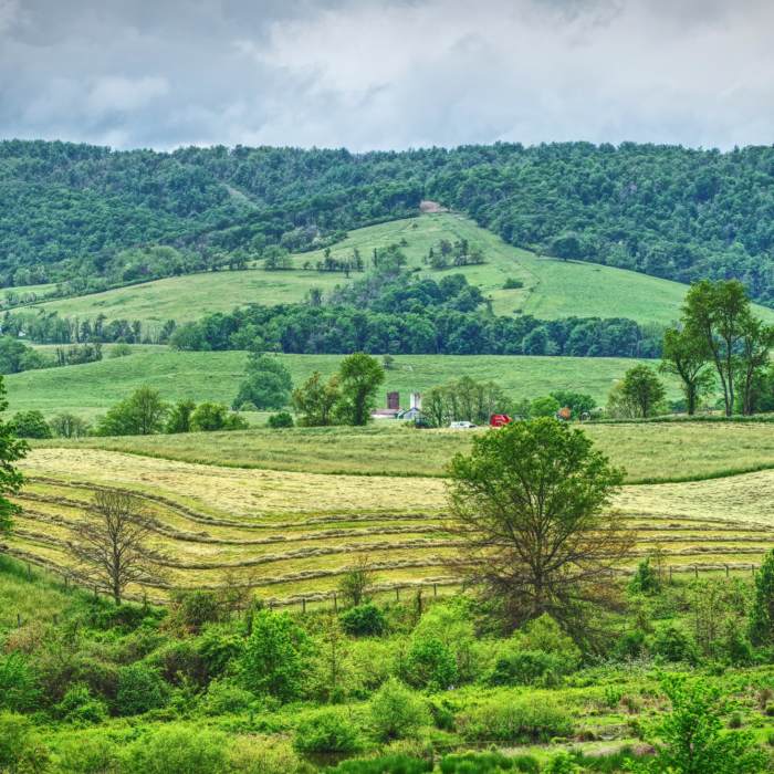 Near Sky Meadows - East Side Trails Loop