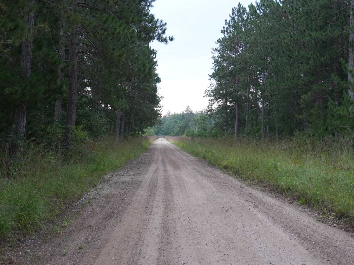 Brush Creek Truck Trail photo 2
