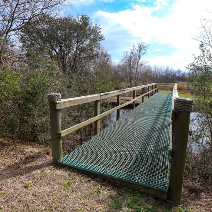 Near White Lake Wetlands Conservation Area Birding + Nature Trail