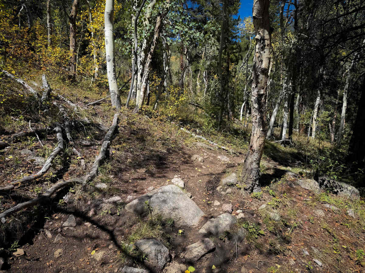 Bear Gulch Trail - FS 610  photo 5