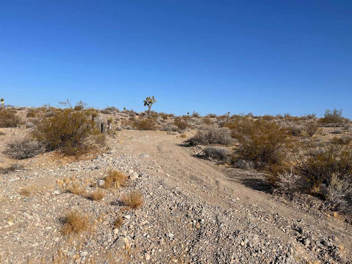 Outpost Trail photo 3