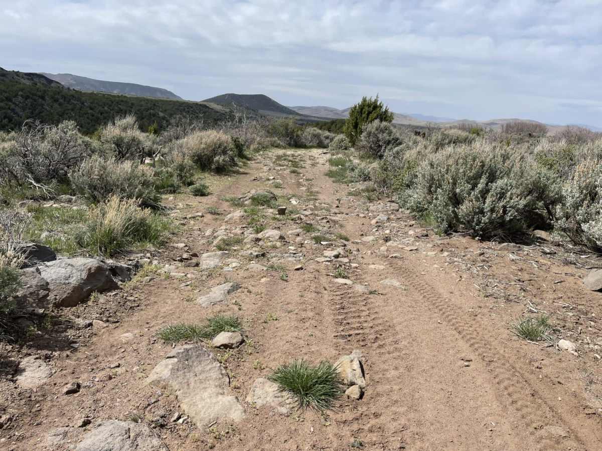 Juniper Ridge photo 5