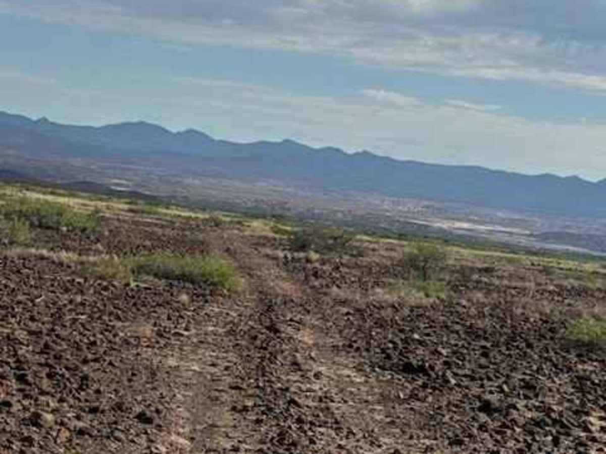 BLM SS1040 photo 2