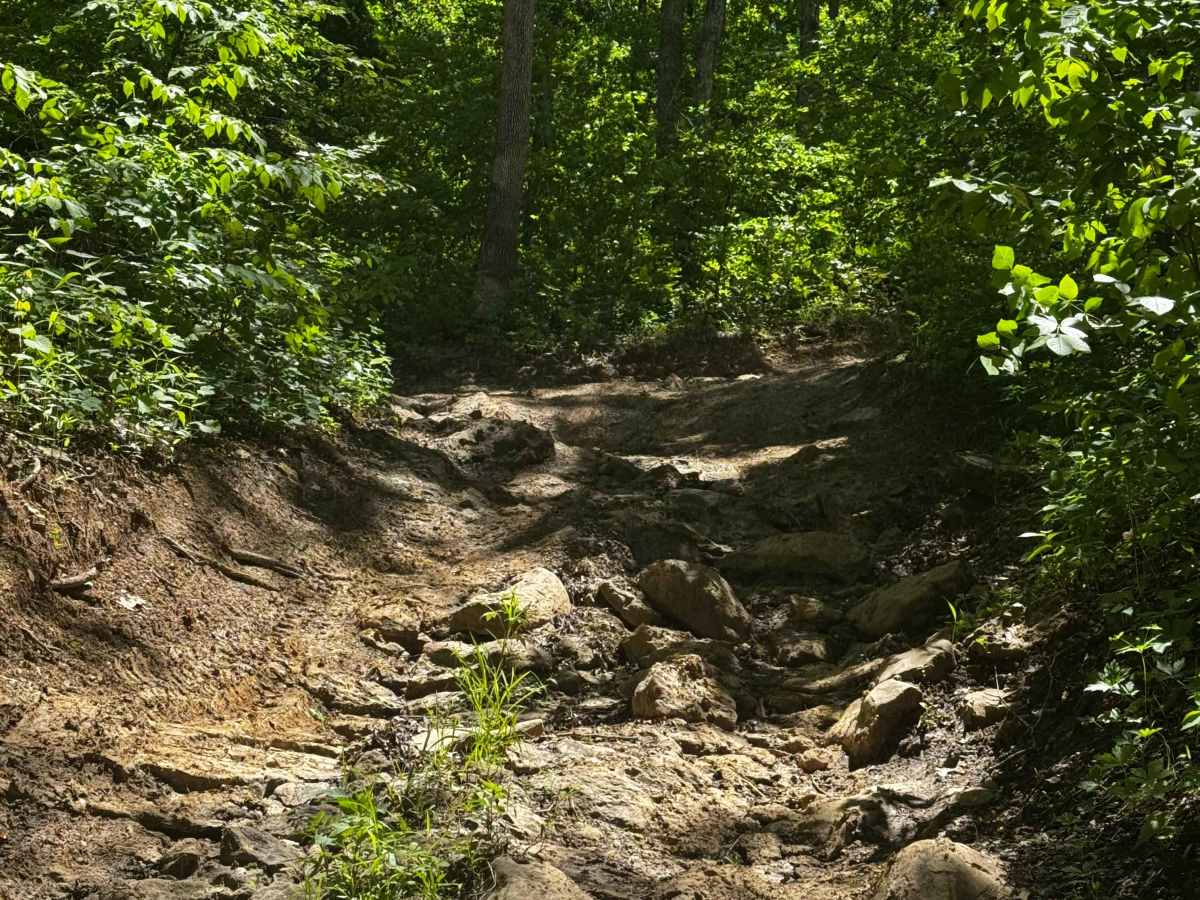 Hill Climb photo 3