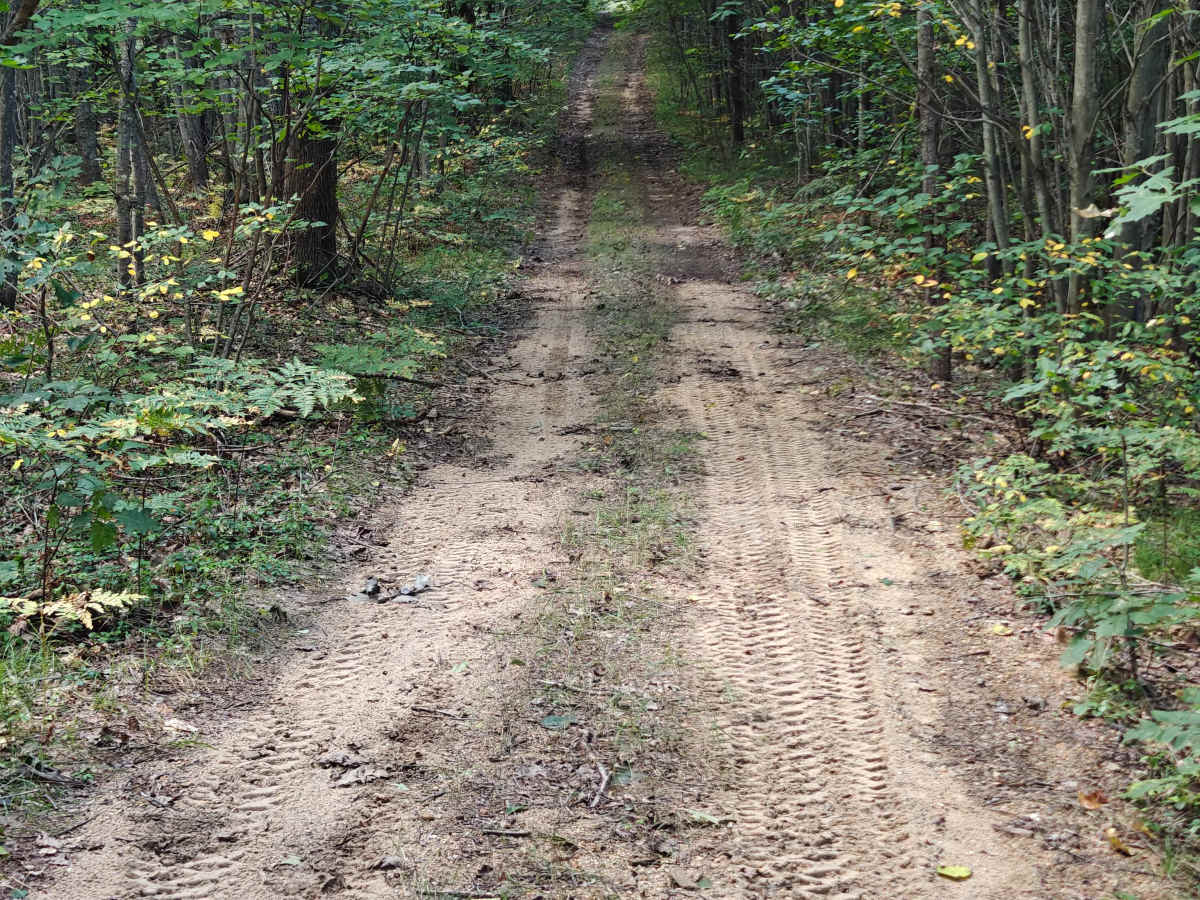 West Greenwood Trail trail photo