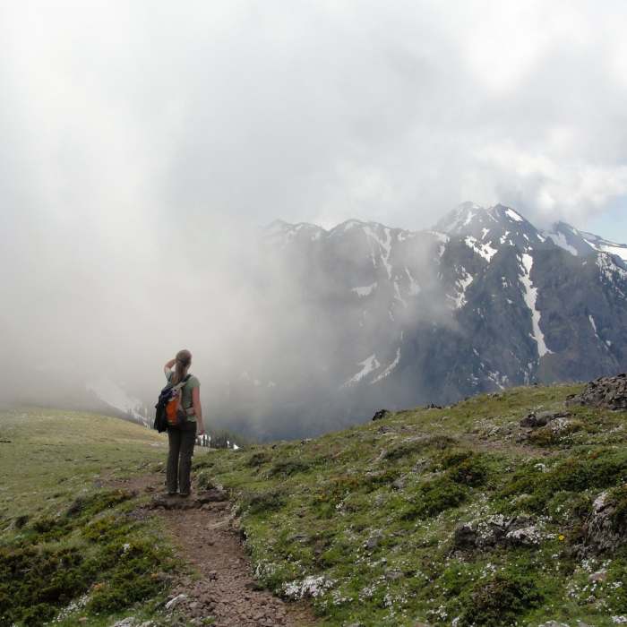 Near Mt. Townsend Trail #839