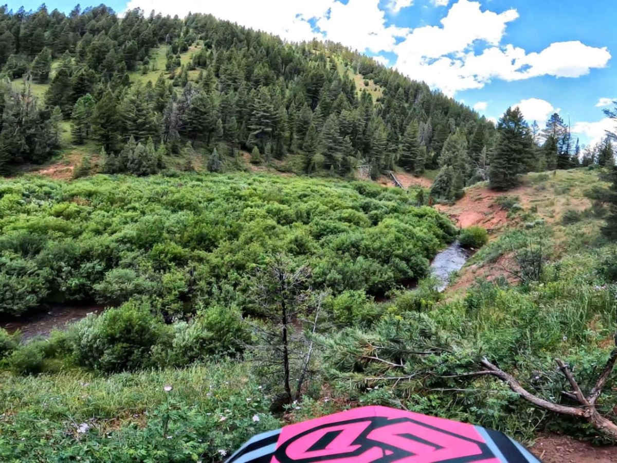 Spring Creek photo 5