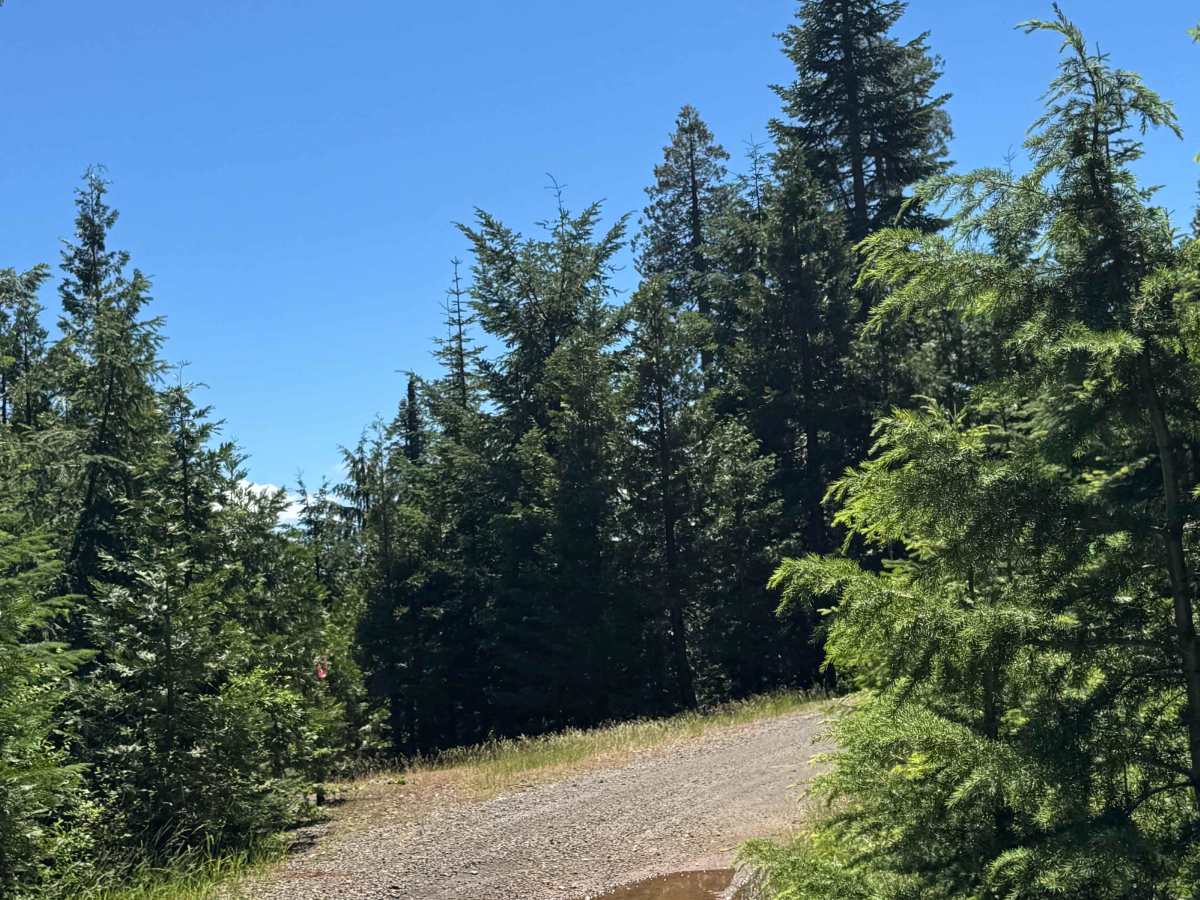 Rabbit Ears - OHV 25 Loop photo 2