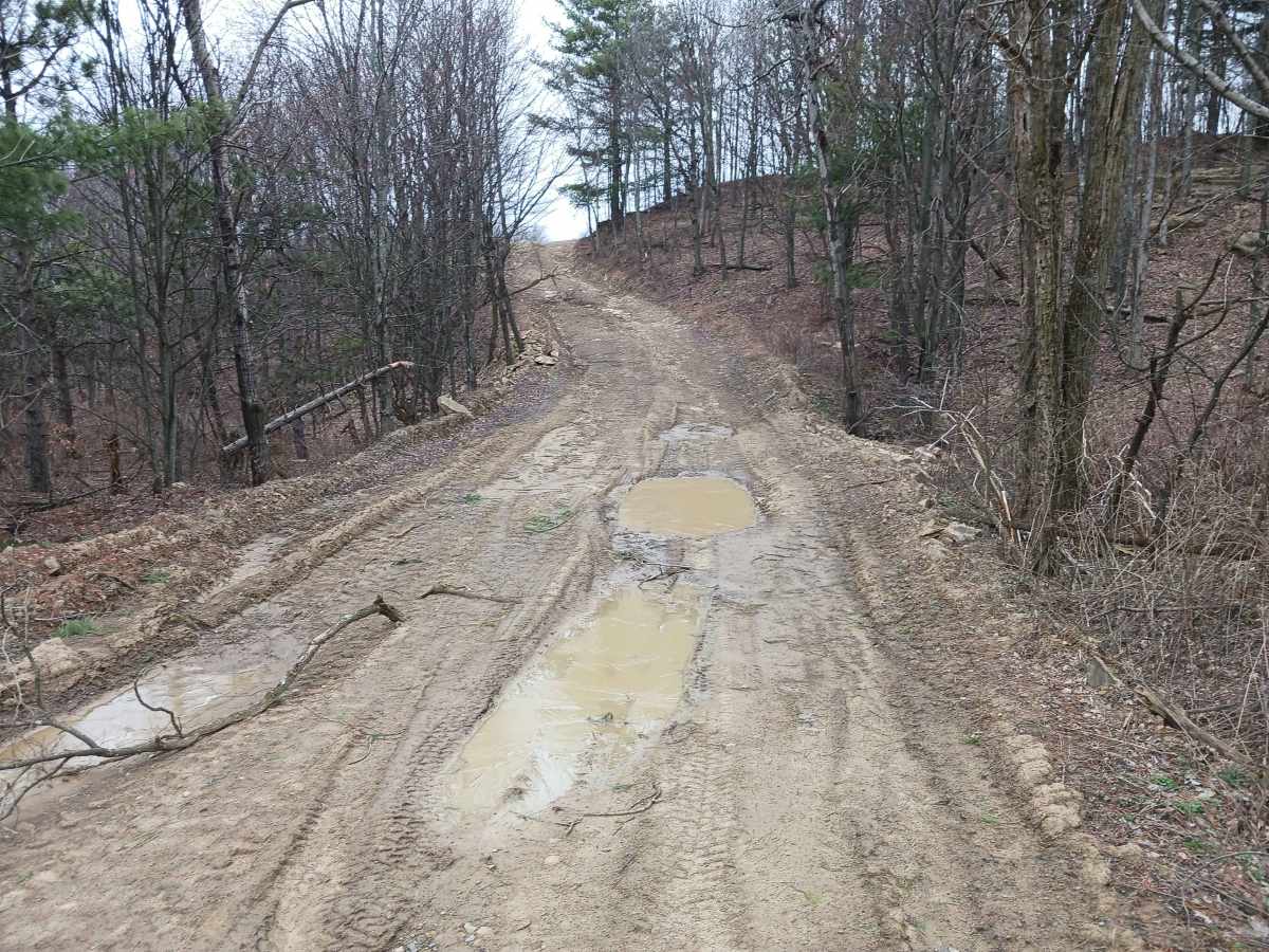 Borrow Pit Path - Rock Run Recreation Area photo 2