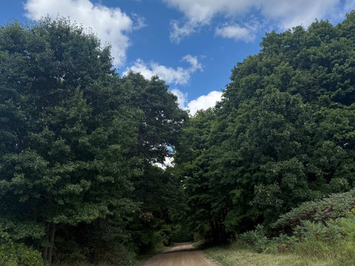 Maute Trail photo 5