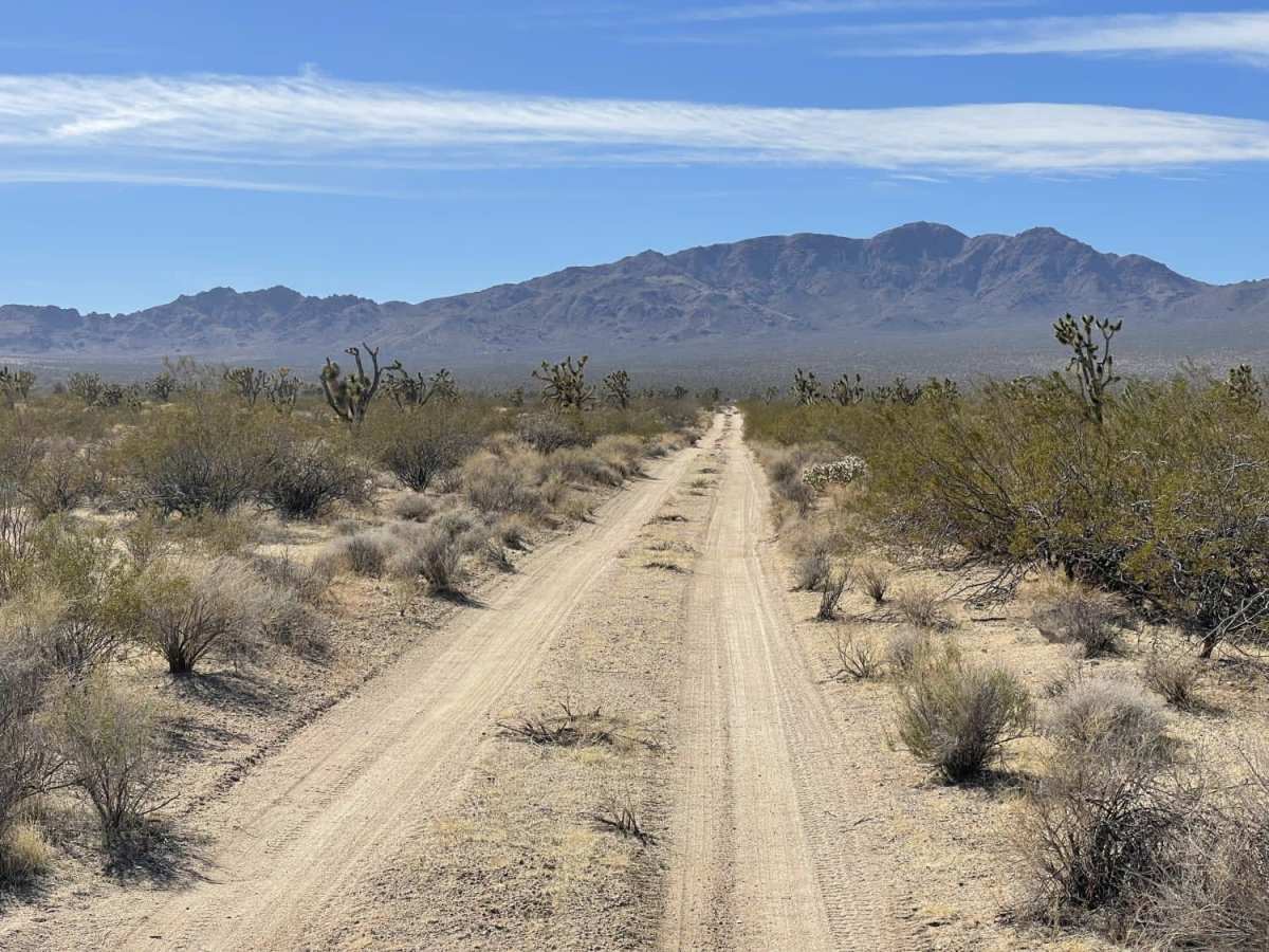 Ivanpah Cima Road trail photo