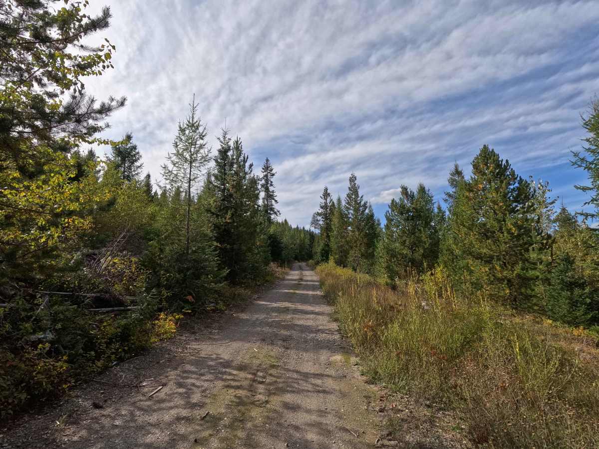 Pickett Road - FS 1710500 photo 2