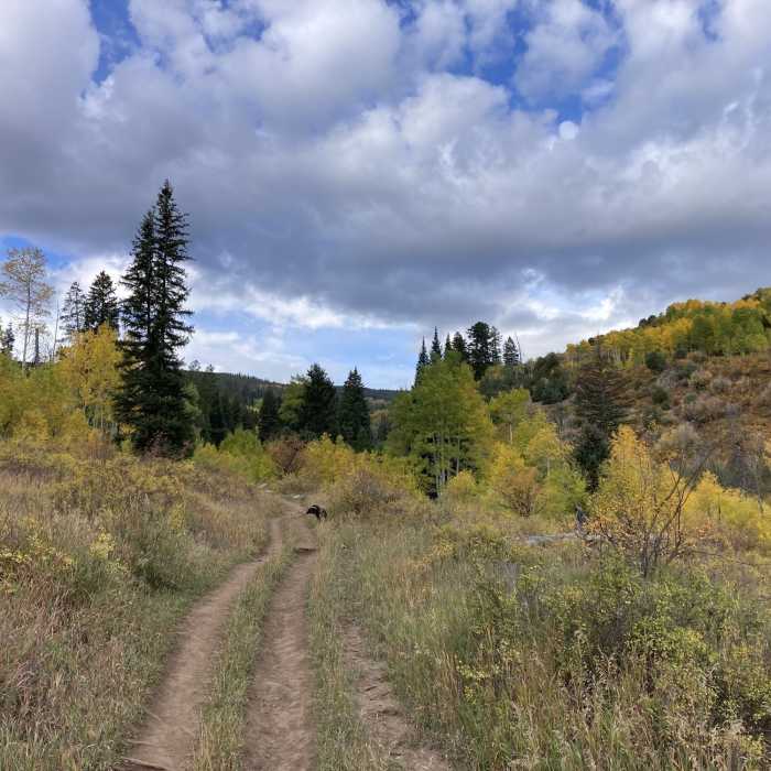 Looking south up the dirt road section just beyond the trailhead. Near Grouse Lake Trail #2127
