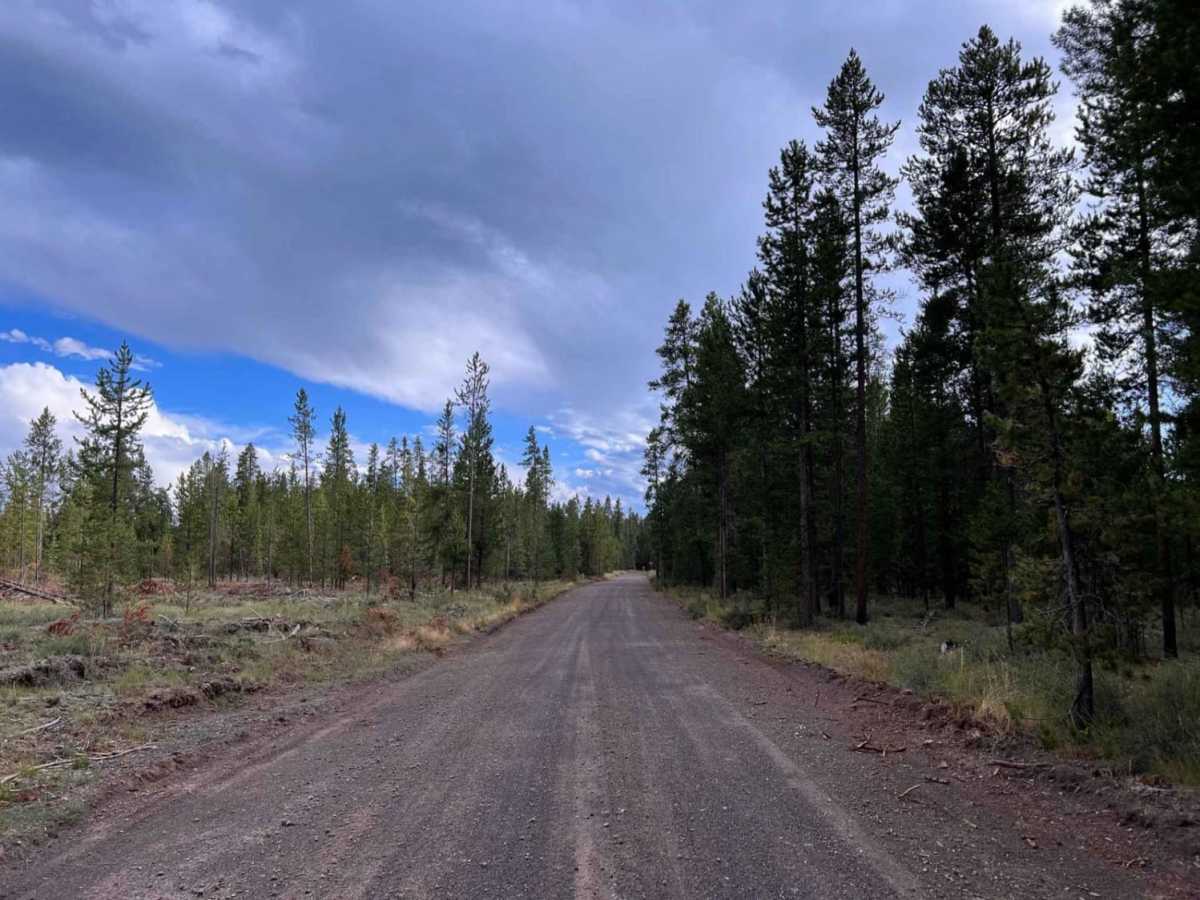 Cougar C Trail photo 4