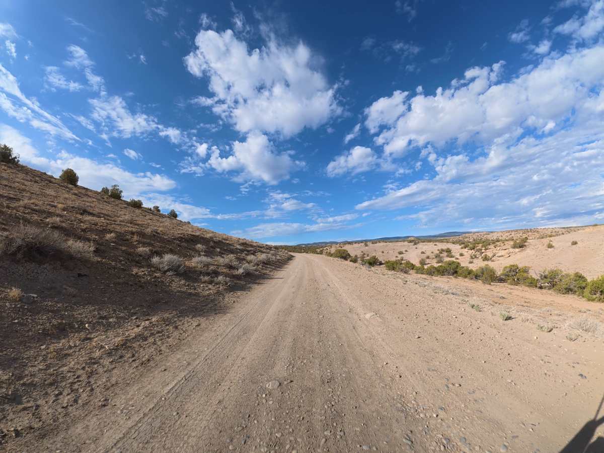 BLM 31 photo 6